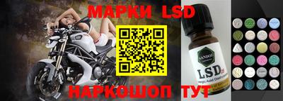 прущие грибы Краснознаменск