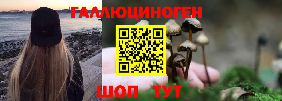 Каменка  Галлюциногенные грибы Magic Shrooms  Галлюциногенные грибы прущие грибы  Вход с VPN 