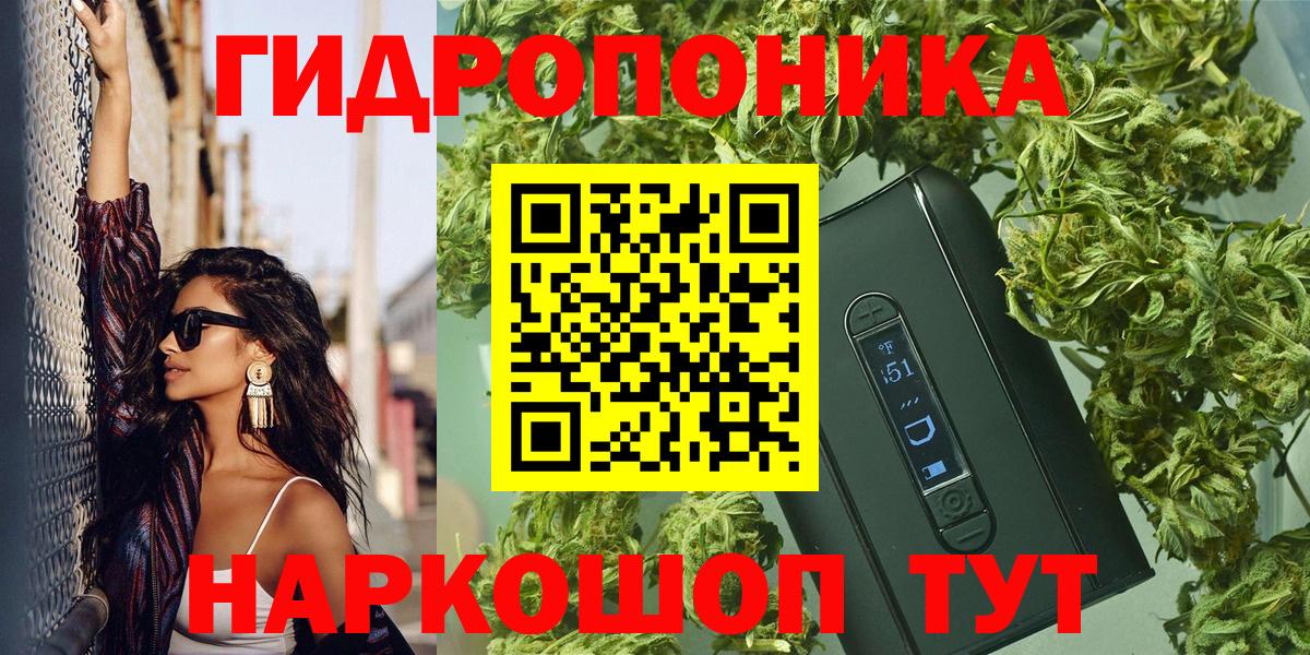 Конопля индика Каменка